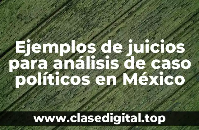 Ejemplos de juicios para análisis de caso políticos en México