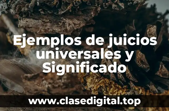 Ejemplos de juicios universales