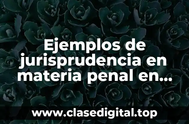 Ejemplos de jurisprudencia en materia penal en México