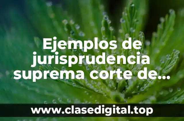 Ejemplos de jurisprudencia suprema corte de justicia