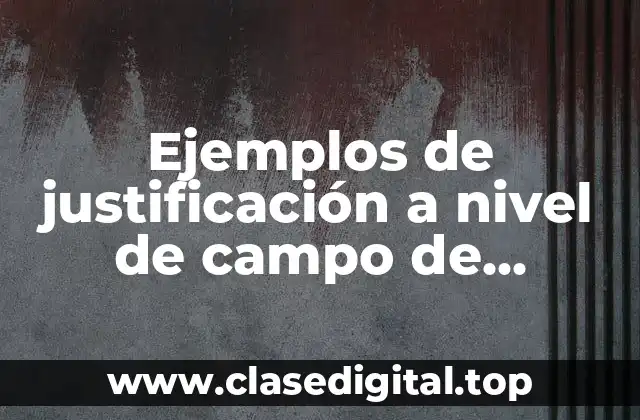 Ejemplos de justificación a nivel de campo de conocimiento