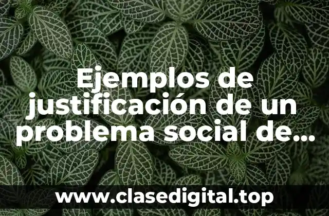 Ejemplos de justificación de un problema social de seguridad pública