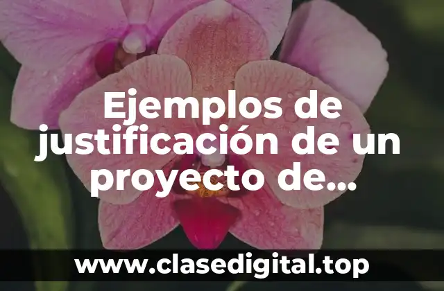 Ejemplos de justificación de un proyecto de emprendimiento