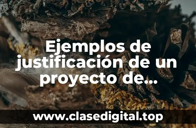 Ejemplos de justificación de un proyecto de investigación en biotecnología y Significado