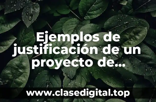 Ejemplos de justificación de un proyecto de investigación social