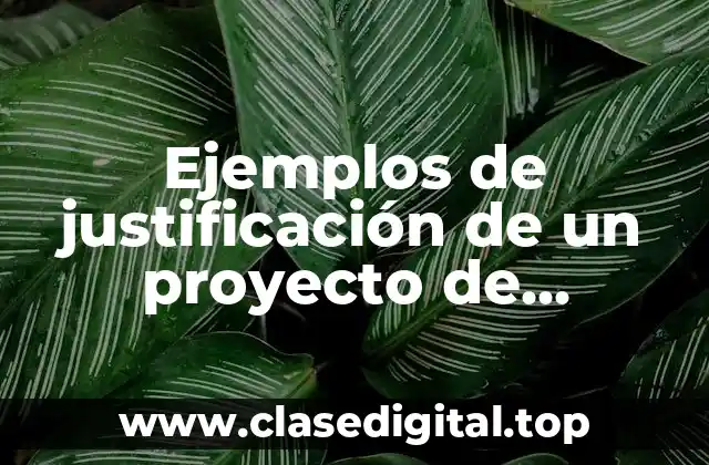 Ejemplos de justificación de un proyecto de software de diseño