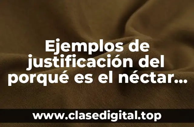 Ejemplos de justificación del porqué es el néctar de abarrotes y Significado