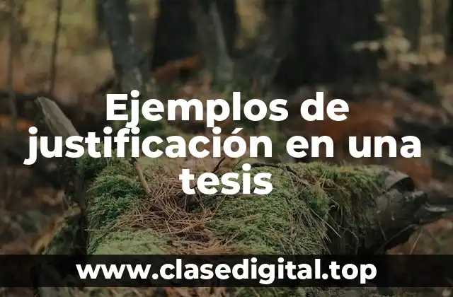 Ejemplos de justificación en una tesis