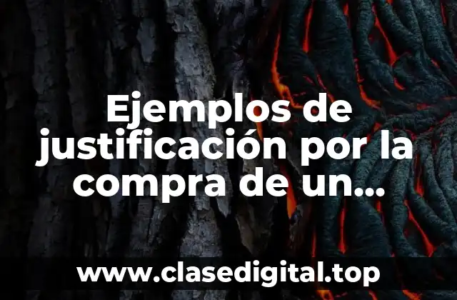 Ejemplos de justificación por la compra de un cargador