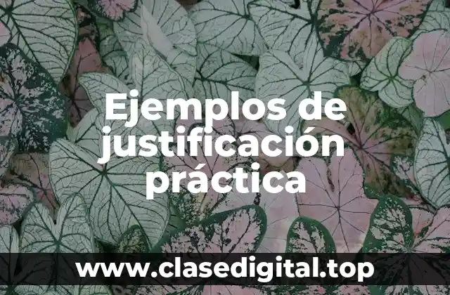 Ejemplos de justificación práctica