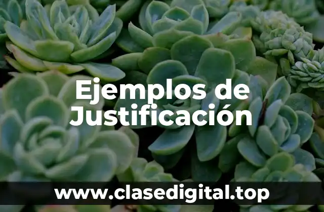 Ejemplos de justificación