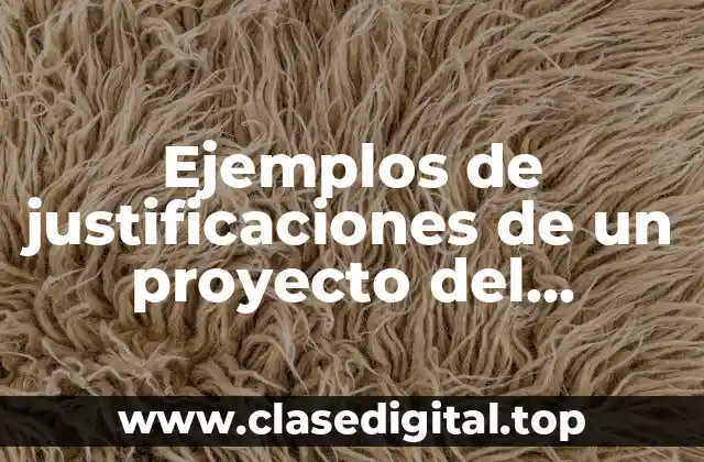 Ejemplos de justificaciones de un proyecto del espectro autista