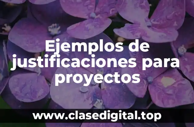 Ejemplos de justificaciones para proyectos