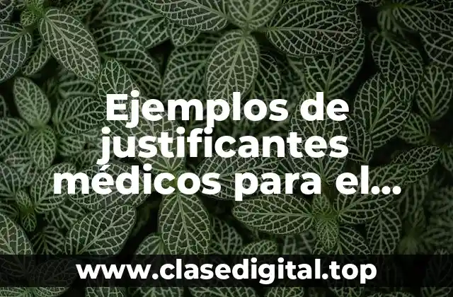 Ejemplos de justificantes médicos para el trabajo en Guadalajara