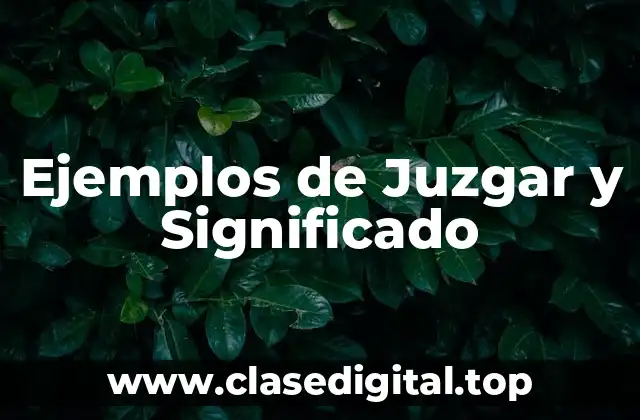 Ejemplos de Juzgar y Significado