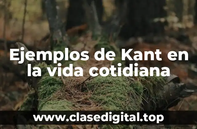 Ejemplos de Kant en la vida cotidiana