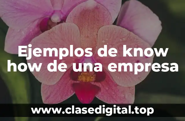 Ejemplos de know how de una empresa