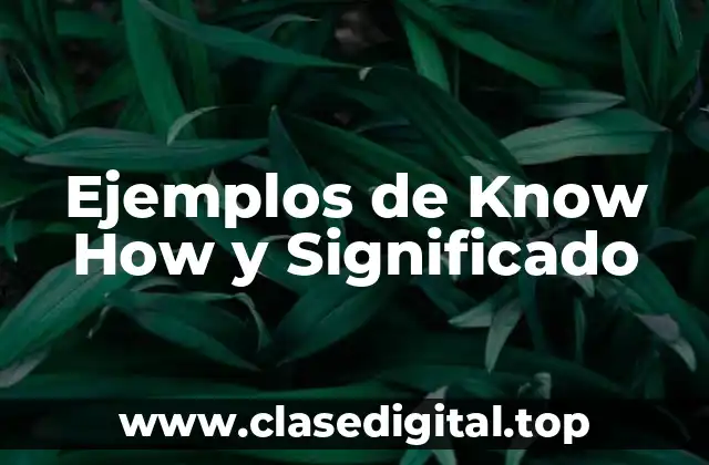 Ejemplos de Know How y Significado