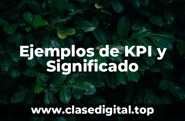 Ejemplos de KPI y Significado