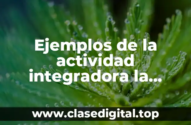 Ejemplos de la actividad integradora la importancia de la escritura