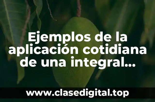 Ejemplos de la aplicación cotidiana de una integral indefinida