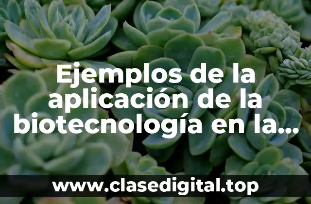 Ejemplos de la aplicación de la biotecnología en la medicina y Significado