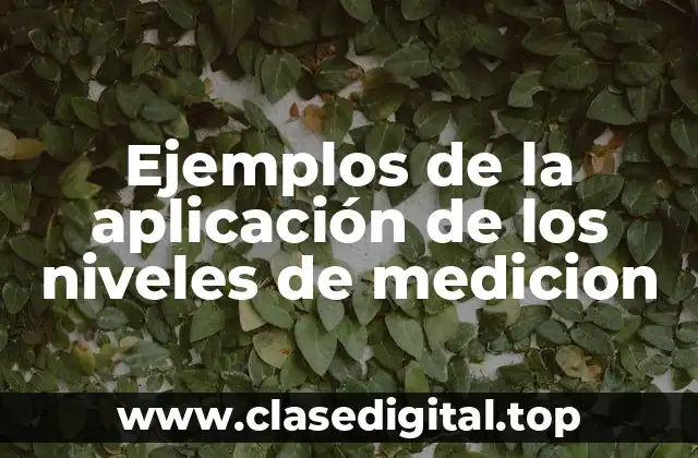 Ejemplos de la aplicación de los niveles de medicion