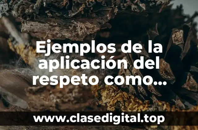 Ejemplos de la aplicación del respeto como principio de integración