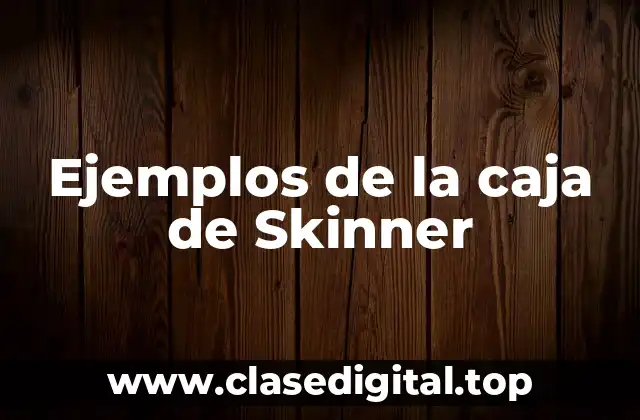 Ejemplos de la caja de Skinner