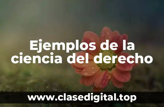 Ejemplos de la ciencia del derecho