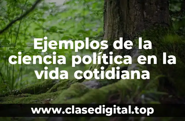 Ejemplos de la ciencia política en la vida cotidiana