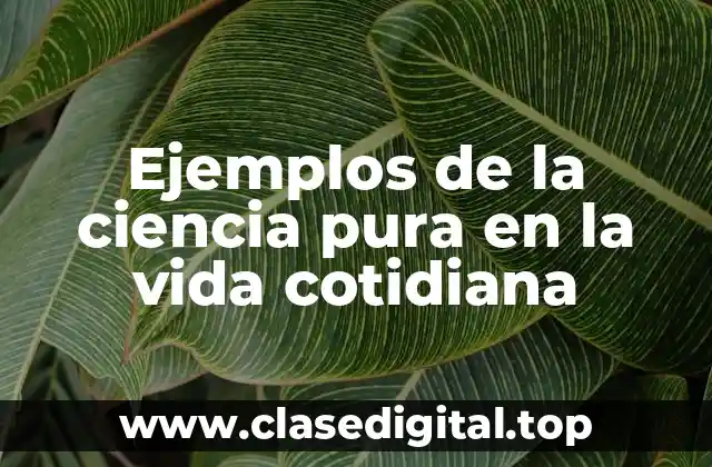 Ejemplos de la ciencia pura en la vida cotidiana