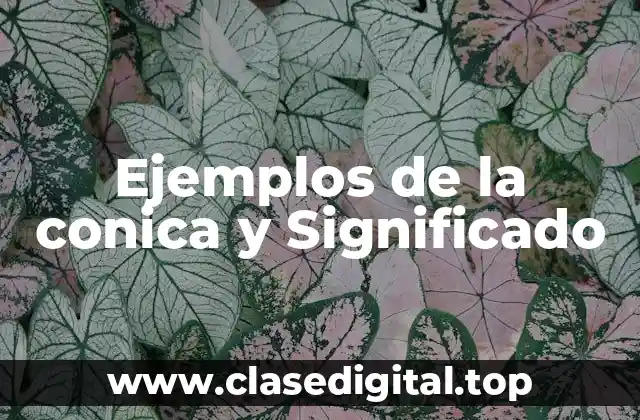 Ejemplos de la conica y Significado