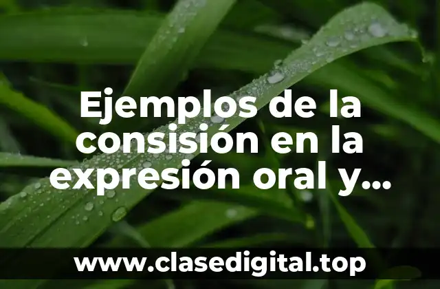 Ejemplos de la consisión en la expresión oral y escrita