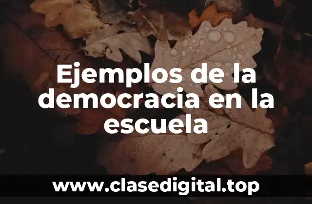 Ejemplos de la democracia en la escuela