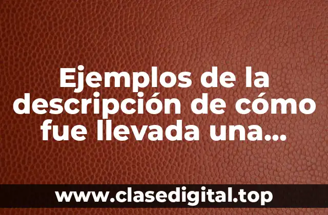 Ejemplos de la descripción de cómo fue llevada una investigación