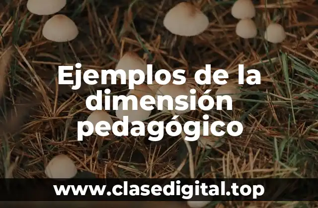Ejemplos de la dimensión pedagógico