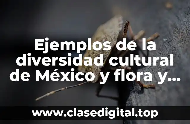 Ejemplos de la diversidad cultural de México y flora y fauna
