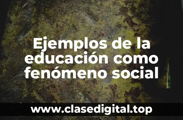 Ejemplos de la educación como fenómeno social