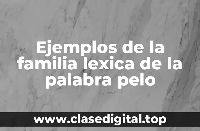 Ejemplos de la familia lexica de la palabra pelo