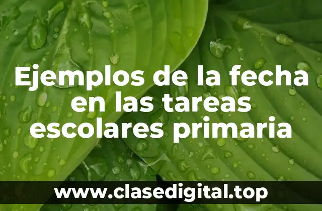Ejemplos de la fecha en las tareas escolares primaria