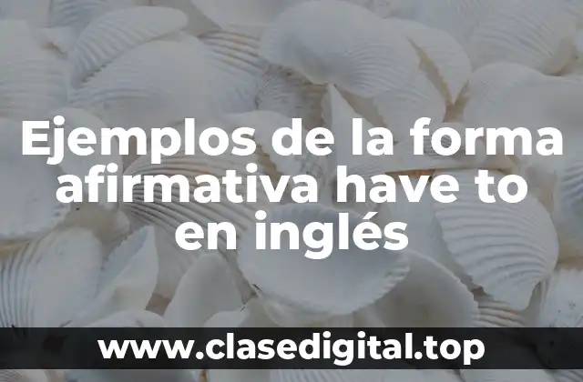 Ejemplos de la forma afirmativa have to en inglés