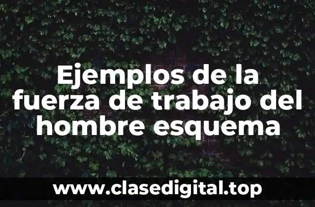 Ejemplos de la fuerza de trabajo del hombre esquema