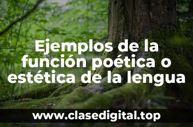 Ejemplos de la función poética o estética de la lengua