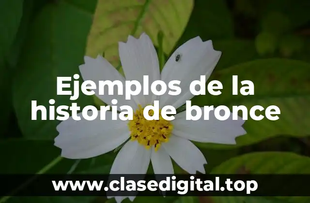 Ejemplos de la historia de bronce