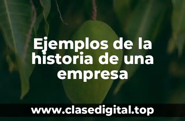 Ejemplos de la historia de una empresa