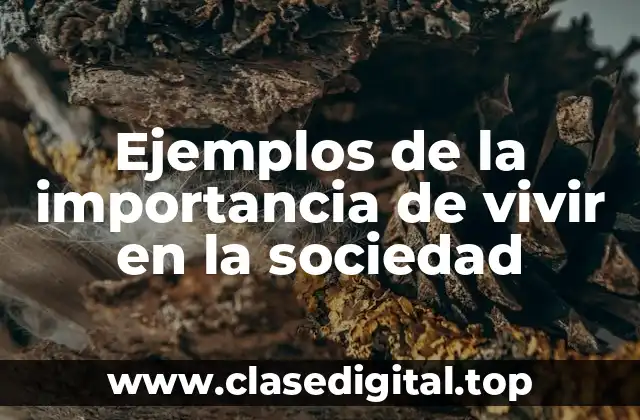 Ejemplos de la importancia de vivir en la sociedad