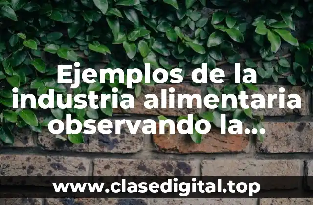 Ejemplos de la industria alimentaria observando la aplicando soluciones