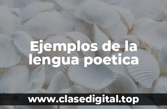 Ejemplos de la lengua poetica