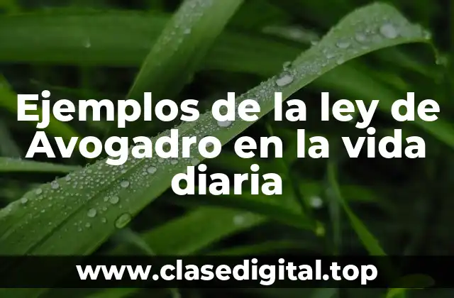 Ejemplos de la ley de Avogadro en la vida diaria